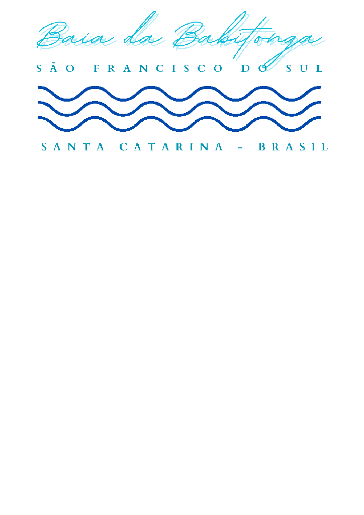 Camisa Surf - Baia da Babitonga IV (B01 | P, C01 | Masculino)