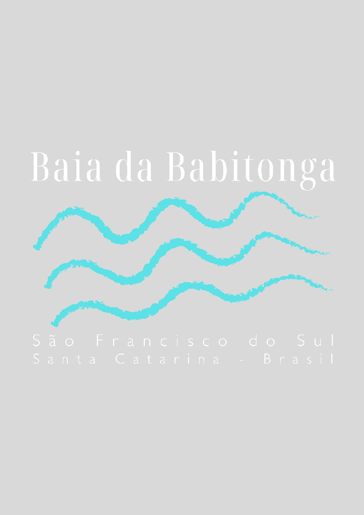 Camisa Surf - Baia da Babitonga VII (B01 | P, C01 | Masculino)
